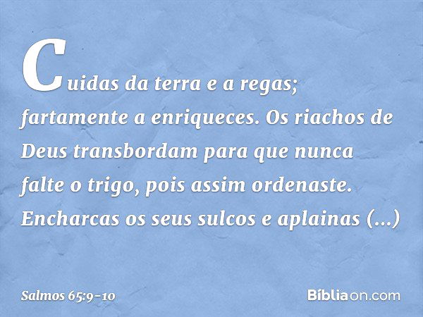 Cuidas da terra e a regas;
fartamente a enriqueces.
Os riachos de Deus transbordam
para que nunca falte o trigo,
pois assim ordenaste. Encharcas os seus sulcos
