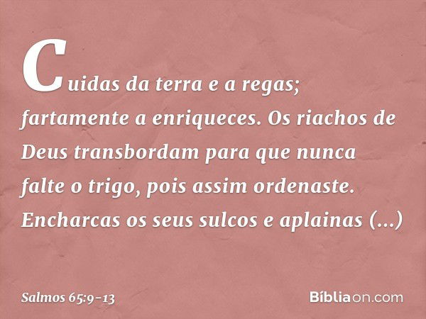 Cuidas da terra e a regas;
fartamente a enriqueces.
Os riachos de Deus transbordam
para que nunca falte o trigo,
pois assim ordenaste. Encharcas os seus sulcos
