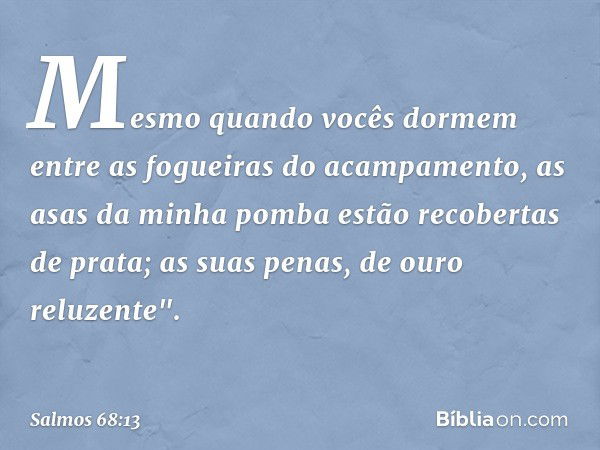 Mesmo quando vocês dormem
entre as fogueiras do acampamento,
as asas da minha pomba
estão recobertas de prata;
as suas penas, de ouro reluzente". -- Salmo 68:13