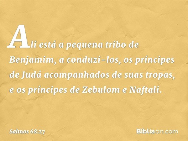 Ali está a pequena tribo de Benjamim,
a conduzi-los,
os príncipes de Judá
acompanhados de suas tropas,
e os príncipes de Zebulom e Naftali. -- Salmo 68:27