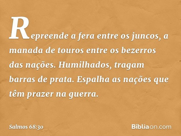 Repreende a fera entre os juncos,
a manada de touros
entre os bezerros das nações.
Humilhados, tragam barras de prata.
Espalha as nações que têm prazer na guerr