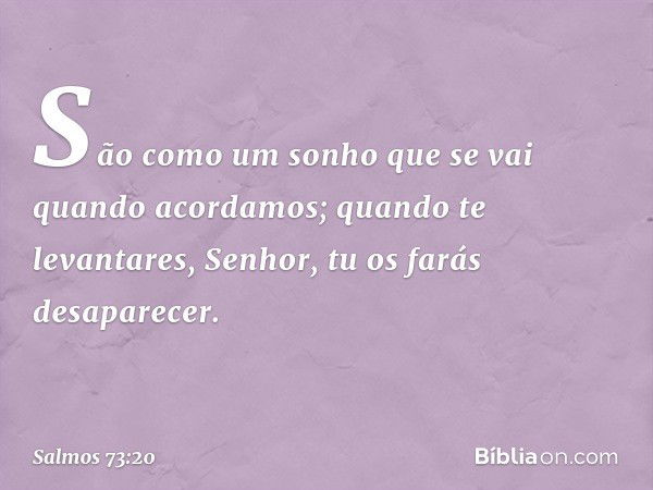 São como um sonho
que se vai quando acordamos;
quando te levantares, Senhor,
tu os farás desaparecer. -- Salmo 73:20