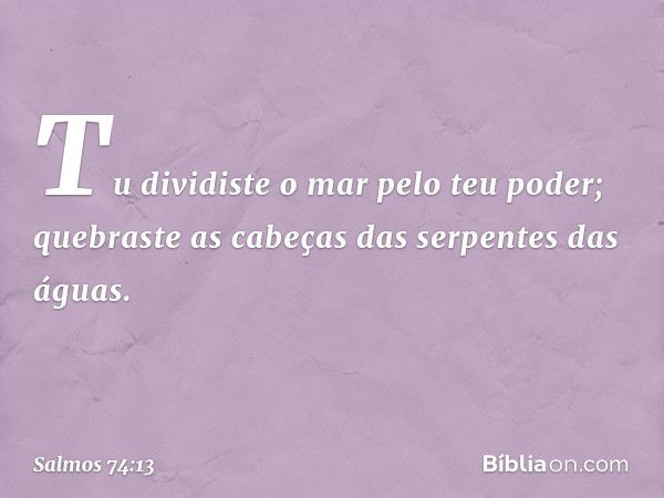 Tu dividiste o mar pelo teu poder;
quebraste as cabeças das serpentes das águas. -- Salmo 74:13