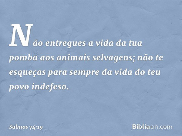 Não entregues a vida da tua pomba
aos animais selvagens;
não te esqueças para sempre da vida
do teu povo indefeso. -- Salmo 74:19