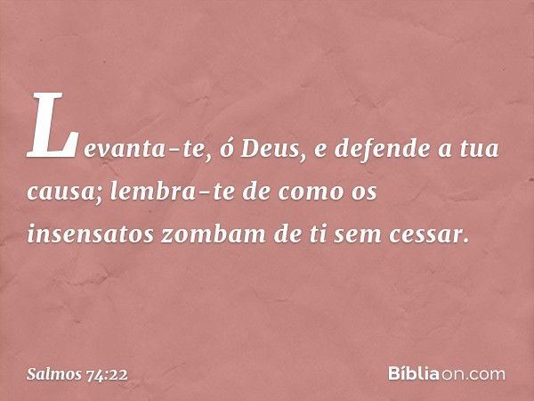 Levanta-te, ó Deus, e defende a tua causa;
lembra-te de como os insensatos
zombam de ti sem cessar. -- Salmo 74:22