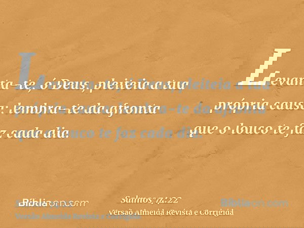 Levanta-te, ó Deus, pleiteia a tua própria causa; lembra-te da afronta que o louco te faz cada dia.