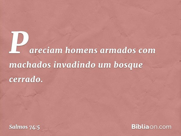 Pareciam homens armados com machados
invadindo um bosque cerrado. -- Salmo 74:5