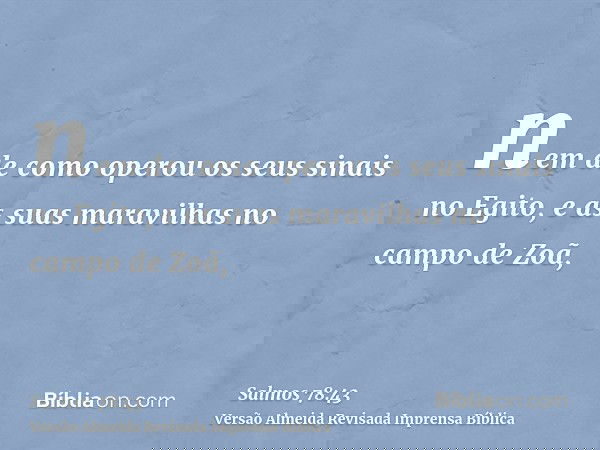 nem de como operou os seus sinais no Egito, e as suas maravilhas no campo de Zoã,