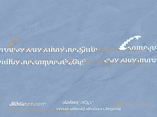 como operou os seus sinais no Egito e as suas maravilhas no campo de Zoã;