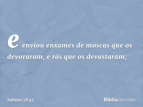 e enviou enxames de moscas
que os devoraram,
e rãs que os devastaram; -- Salmo 78:45