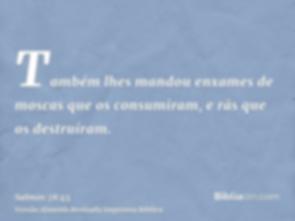 Também lhes mandou enxames de moscas que os consumiram, e rãs que os destruíram.