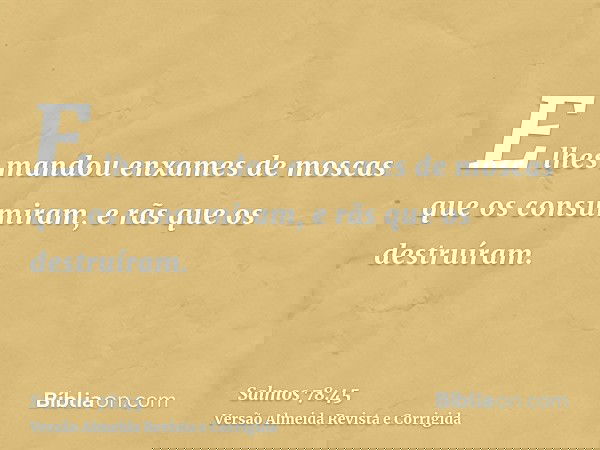 E lhes mandou enxames de moscas que os consumiram, e rãs que os destruíram.