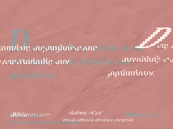 Deu, também, ao pulgão a sua novidade, e o seu trabalho, aos gafanhotos.