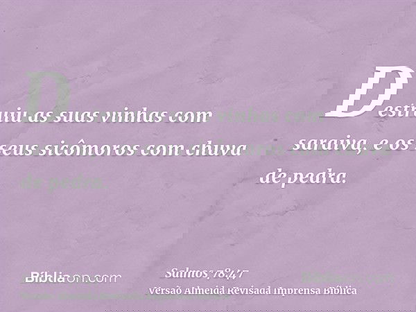 Destruiu as suas vinhas com saraiva, e os seus sicômoros com chuva de pedra.