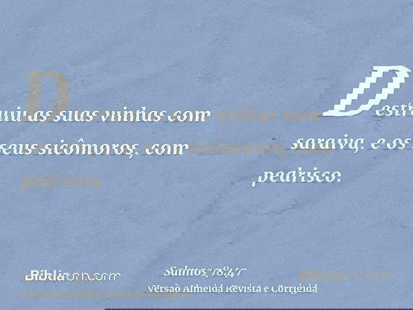 Destruiu as suas vinhas com saraiva, e os seus sicômoros, com pedrisco.