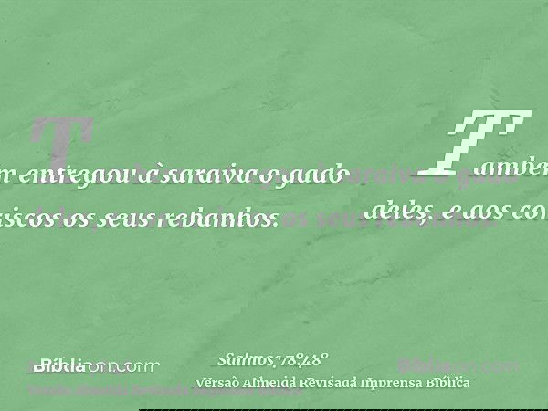 Também entregou à saraiva o gado deles, e aos coriscos os seus rebanhos.