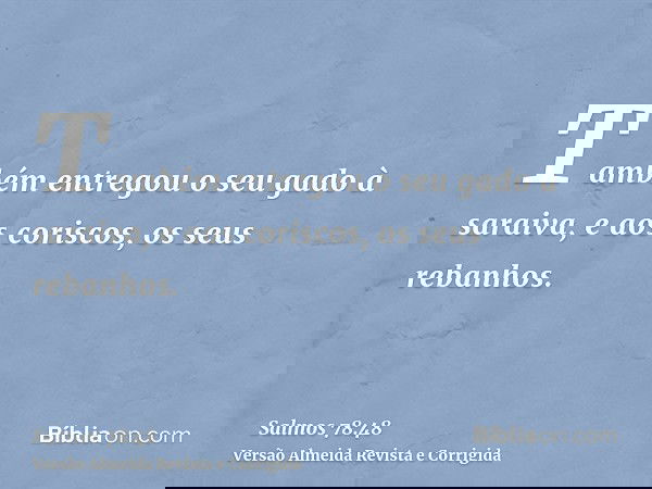 Também entregou o seu gado à saraiva, e aos coriscos, os seus rebanhos.