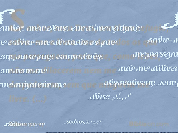 Senhor, meu Deus, em ti me refugio;
salva-me e livra-me de todos
os que me perseguem, para que, como leões,
não me dilacerem nem me despedacem,
sem que ninguém