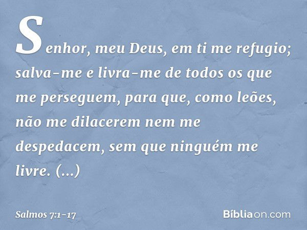 Senhor, meu Deus, em ti me refugio;
salva-me e livra-me de todos
os que me perseguem, para que, como leões,
não me dilacerem nem me despedacem,
sem que ninguém 