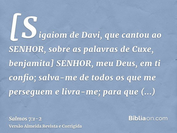 [Sigaiom de Davi, que cantou ao SENHOR, sobre as palavras de Cuxe, benjamita] SENHOR, meu Deus, em ti confio; salva-me de todos os que me perseguem e livra-me;p