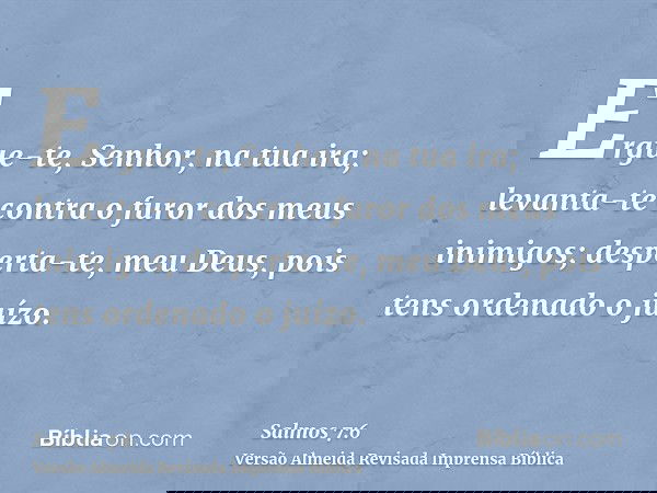 Ergue-te, Senhor, na tua ira; levanta-te contra o furor dos meus inimigos; desperta-te, meu Deus, pois tens ordenado o juízo.