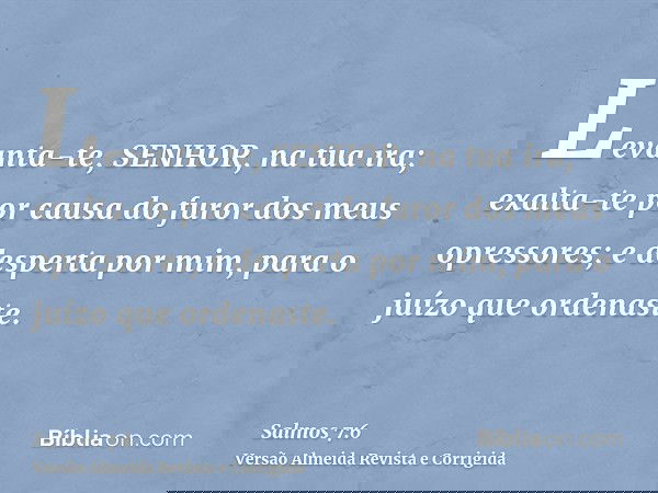 Levanta-te, SENHOR, na tua ira; exalta-te por causa do furor dos meus opressores; e desperta por mim, para o juízo que ordenaste.