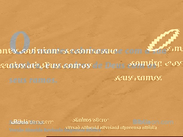 Os montes cobriram-se com a sua sombra, e os cedros de Deus com os seus ramos.