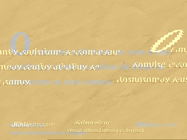 Os montes cobriram-se com a sua sombra, e como os cedros de Deus se tornaram os seus ramos.