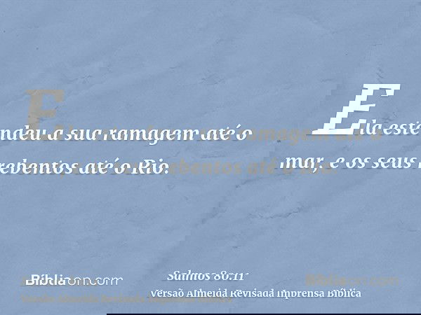 Ela estendeu a sua ramagem até o mar, e os seus rebentos até o Rio.