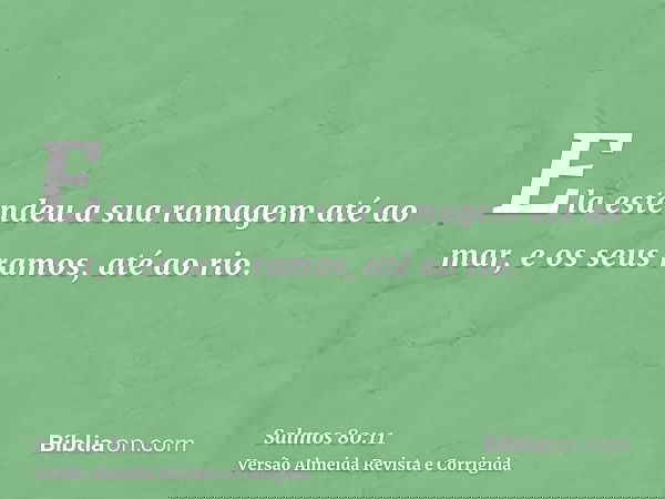 Ela estendeu a sua ramagem até ao mar, e os seus ramos, até ao rio.