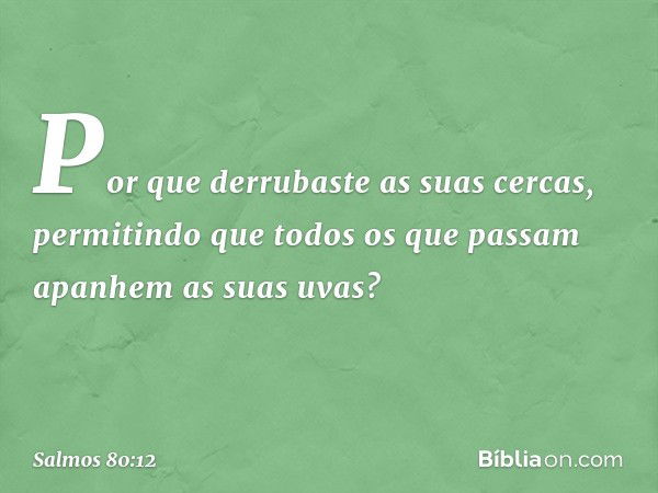 Por que derrubaste as suas cercas,
permitindo que todos os que passam
apanhem as suas uvas? -- Salmo 80:12