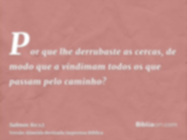 Por que lhe derrubaste as cercas, de modo que a vindimam todos os que passam pelo caminho?