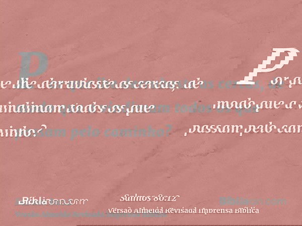 Por que lhe derrubaste as cercas, de modo que a vindimam todos os que passam pelo caminho?