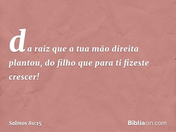 da raiz que a tua mão direita plantou,
do filho que para ti fizeste crescer! -- Salmo 80:15