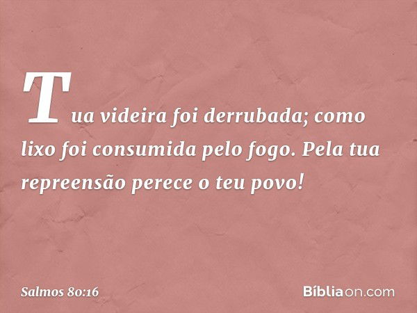 Tua videira foi derrubada;
como lixo foi consumida pelo fogo.
Pela tua repreensão perece o teu povo! -- Salmo 80:16