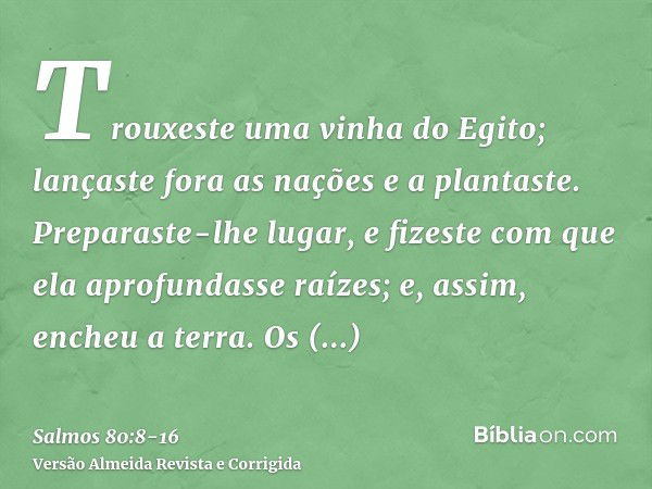 Trouxeste uma vinha do Egito; lançaste fora as nações e a plantaste.Preparaste-lhe lugar, e fizeste com que ela aprofundasse raízes; e, assim, encheu a terra.Os