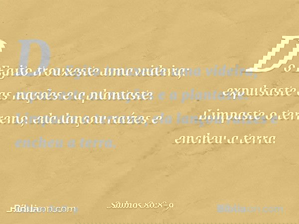 Do Egito trouxeste uma videira;
expulsaste as nações e a plantaste. Limpaste o terreno,
ela lançou raízes e encheu a terra. -- Salmo 80:8-9