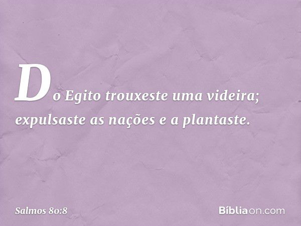 Do Egito trouxeste uma videira;
expulsaste as nações e a plantaste. -- Salmo 80:8