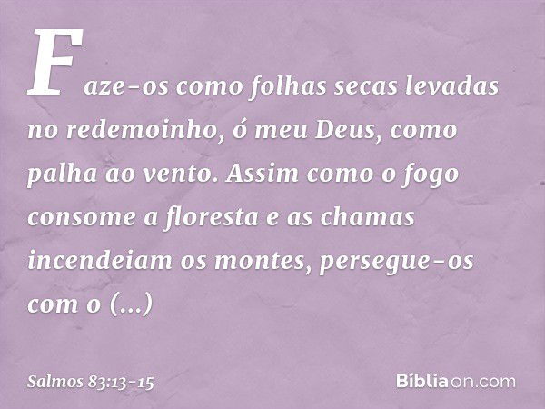 Faze-os como folhas secas
levadas no redemoinho, ó meu Deus,
como palha ao vento. Assim como o fogo consome a floresta
e as chamas incendeiam os montes, persegu