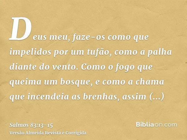 Deus meu, faze-os como que impelidos por um tufão, como a palha diante do vento.Como o fogo que queima um bosque, e como a chama que incendeia as brenhas,assim 