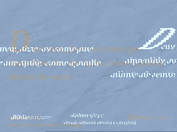 Deus meu, faze-os como que impelidos por um tufão, como a palha diante do vento.