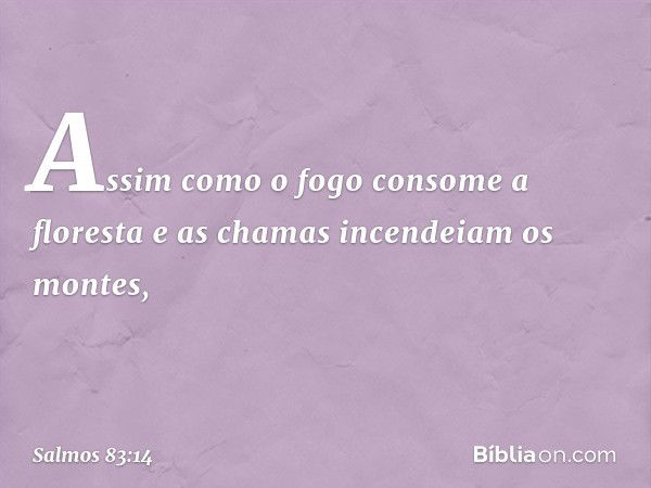 Assim como o fogo consome a floresta
e as chamas incendeiam os montes, -- Salmo 83:14