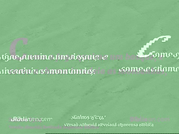 Como o fogo queima um bosque, e como a chama incedeia as montanhas,