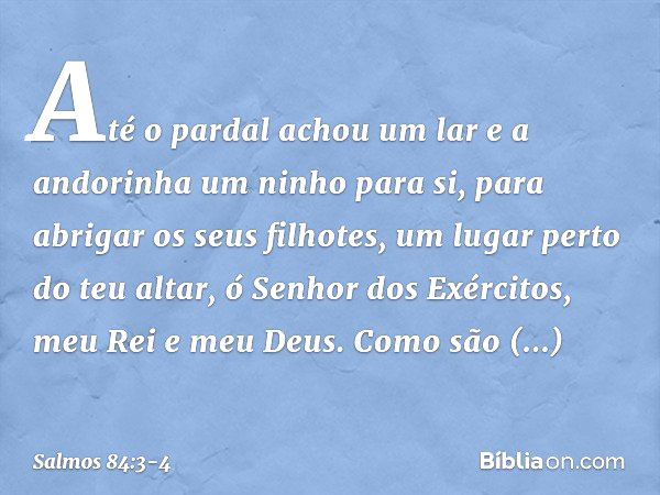 Até o pardal achou um lar
e a andorinha um ninho para si,
para abrigar os seus filhotes,
um lugar perto do teu altar,
ó Senhor dos Exércitos, meu Rei e meu Deus