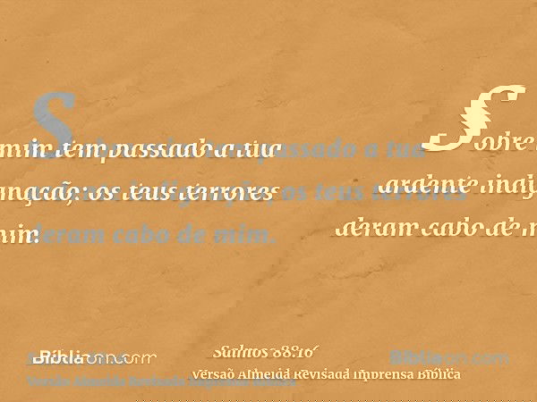 Sobre mim tem passado a tua ardente indignação; os teus terrores deram cabo de mim.