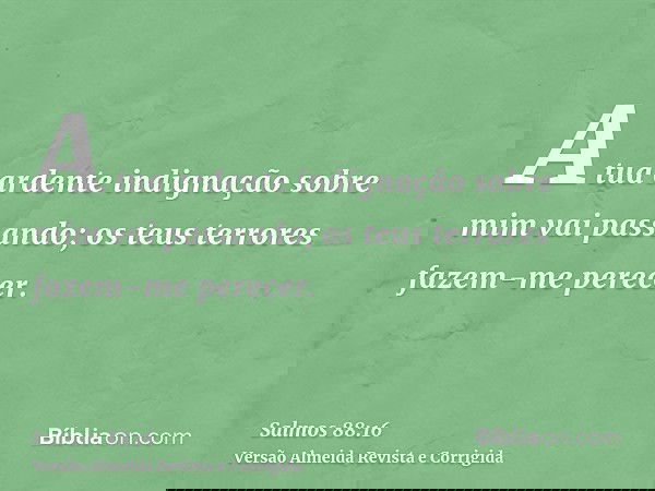 A tua ardente indignação sobre mim vai passando; os teus terrores fazem-me perecer.