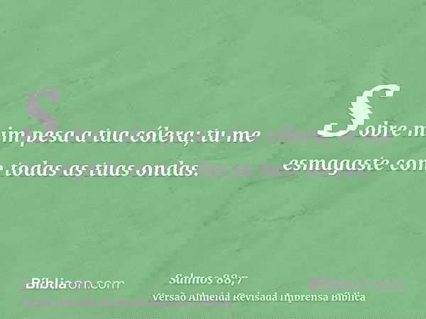 Sobre mim pesa a tua cólera; tu me esmagaste com todas as tuas ondas.