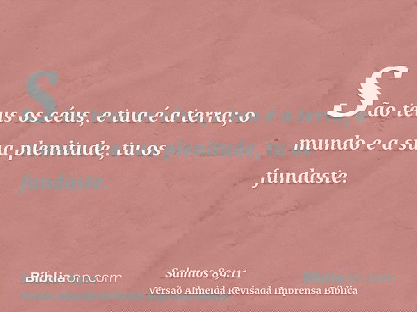 São teus os céus, e tua é a terra; o mundo e a sua plenitude, tu os fundaste.
