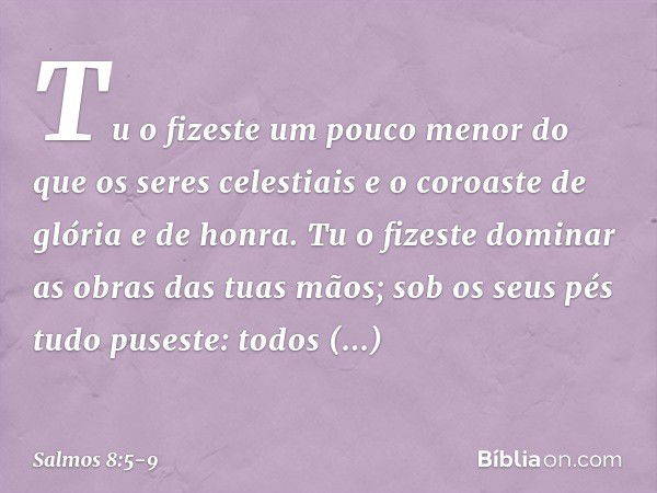 Tu o fizeste um pouco menor
do que os seres celestiais
e o coroaste de glória e de honra. Tu o fizeste dominar
as obras das tuas mãos;
sob os seus pés tudo puse