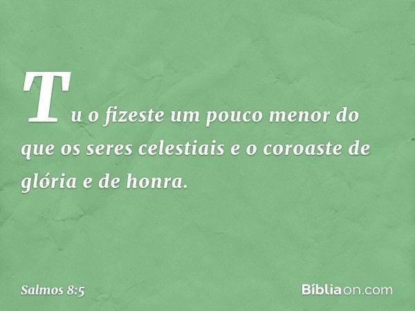 Tu o fizeste um pouco menor
do que os seres celestiais
e o coroaste de glória e de honra. -- Salmo 8:5